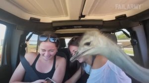 Глупые и весёлые фейлы  Best Fails of the Week