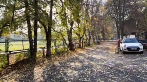 ОДЕССА 22 НОЯБРЯ 2025. ПЛАЧ ДЕПУТАТКИ! РЕАКЦИЯ ОДЕССИТОВ НА ОБРАЩЕНИЕ ЗЕЛЕНСКОГО. УНИТАЗЫ-НАШЕ ВСЁ!