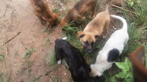 Первый день стажировки инженером-конструктором