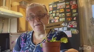 #1-22.11.25 🌹ПРЕЗЕНТ ОТ АЛУСИ 🌹ПОКРАСИЛАСЬ ТОНИКОМ 🌹