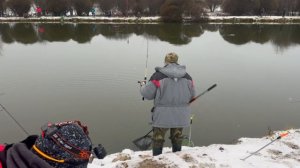 Видеообзор с водоема