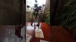 Таро.Мужчина сегодня.