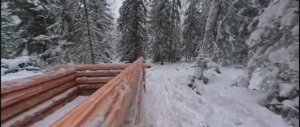 Один в ТАЙГЕ КРУГЛЫЙ ГОД. ЖИВУ В ИЗБУШКЕ. ТРУДОВЫЕ БЫТОВЫЕ БУДНИ.