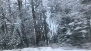 Дорога на дачу.