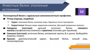 Часть 3. Животные белки