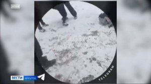 Проект для профилактики конфликтов между школьниками Иркутской области запустят с декабря