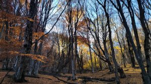 Многоречье - г. Караул Кая