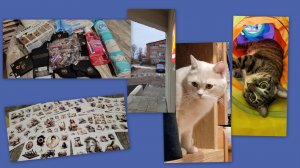 ВЛОГ: ПОКУПКИ,  БЫТ, НЕБОЛЬШОЕ ПРИКЛЮЧЕНИЕ))