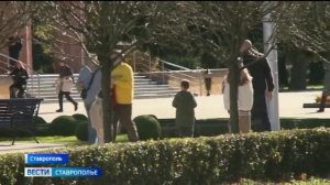 Солнечная погода порадует ставропольцев на выходных