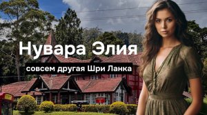 Краткий обзор городка Нувара Элия в высокогорной Шри Ланке - стоит ли туда ехать в вашем путешествии