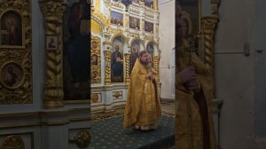 22.11.2025 - На Литургии; о.Павел Шутов