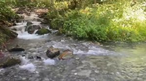 Девиз-речёвка. Автор: Виктория Беккер