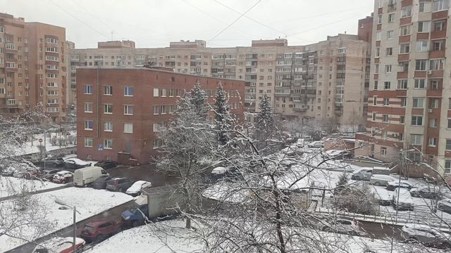 Погода Петербург . 21.11.2025 . 11:49 . 0° .