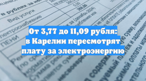 От 3,77 до 11,09 рубля: в Карелии пересмотрят плату за электроэнергию