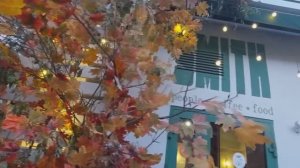 Ты один И я одна. Улица Сурикова .Проспект Мира .Красноярск