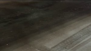 Гололед прогнозируют в ближайшие сутки в Тюменской области