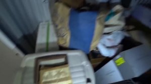 Тысячи $ за грязными матрасами