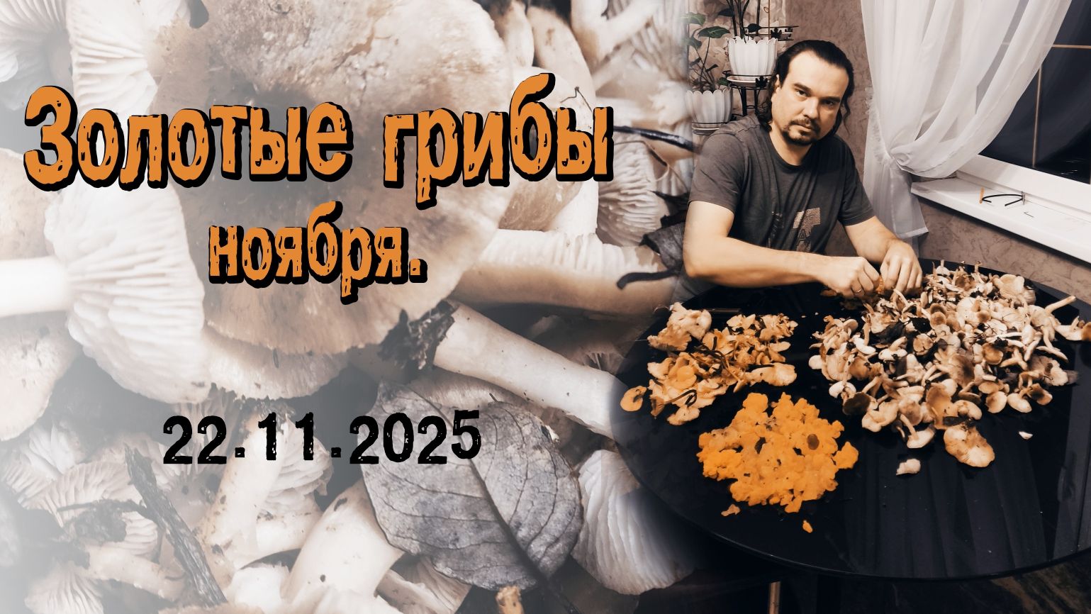 Золотые Грибы Ноября. 22.11.2025 смотреть онлайн