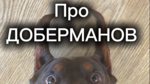 Анекдоты про ДОБЕРМАНОВ - от Михаила Харченко #юмор #шуточное #анекдот #смех #анекдоты #funny