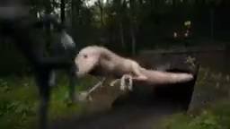 Bridge Worm - Coffin Dance Song(Cover)