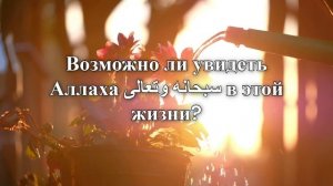 Возможно ли увидеть Аллаха سبحانه وتعالى в этой жизни?