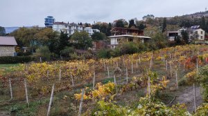 19 ноября 2025 г. Первое знакомство с пгт. Отрадное #ялта #ялта2025 #отрадное