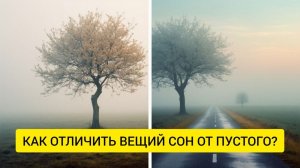 Как отличить вещий сон от пустого ? Какие бывают сны.