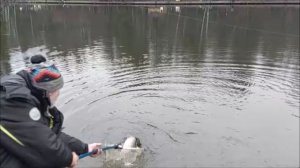 Бомбарда, закидушка, спиннинг...Клёвое место, Лосиный остров, нижний водоём.