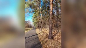 Осень / Подборка фото