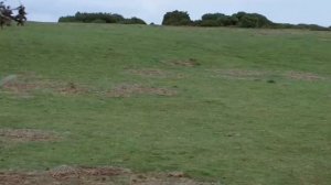 Ария - Дай жару (Фан)