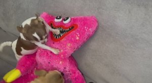 Старую игрушку опять встречают как новую.