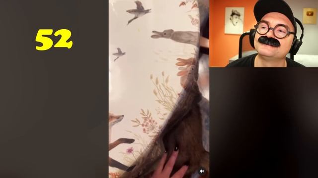 100 САМЫХ СМЕШНЫХ ВИДЕО (7 Выпуск) смотреть онлайн