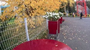 СТРОПТИВАЯ КЕНИЙКА В РОССИИ из ТРУЩОБ на ДИВО ОСТРОВ