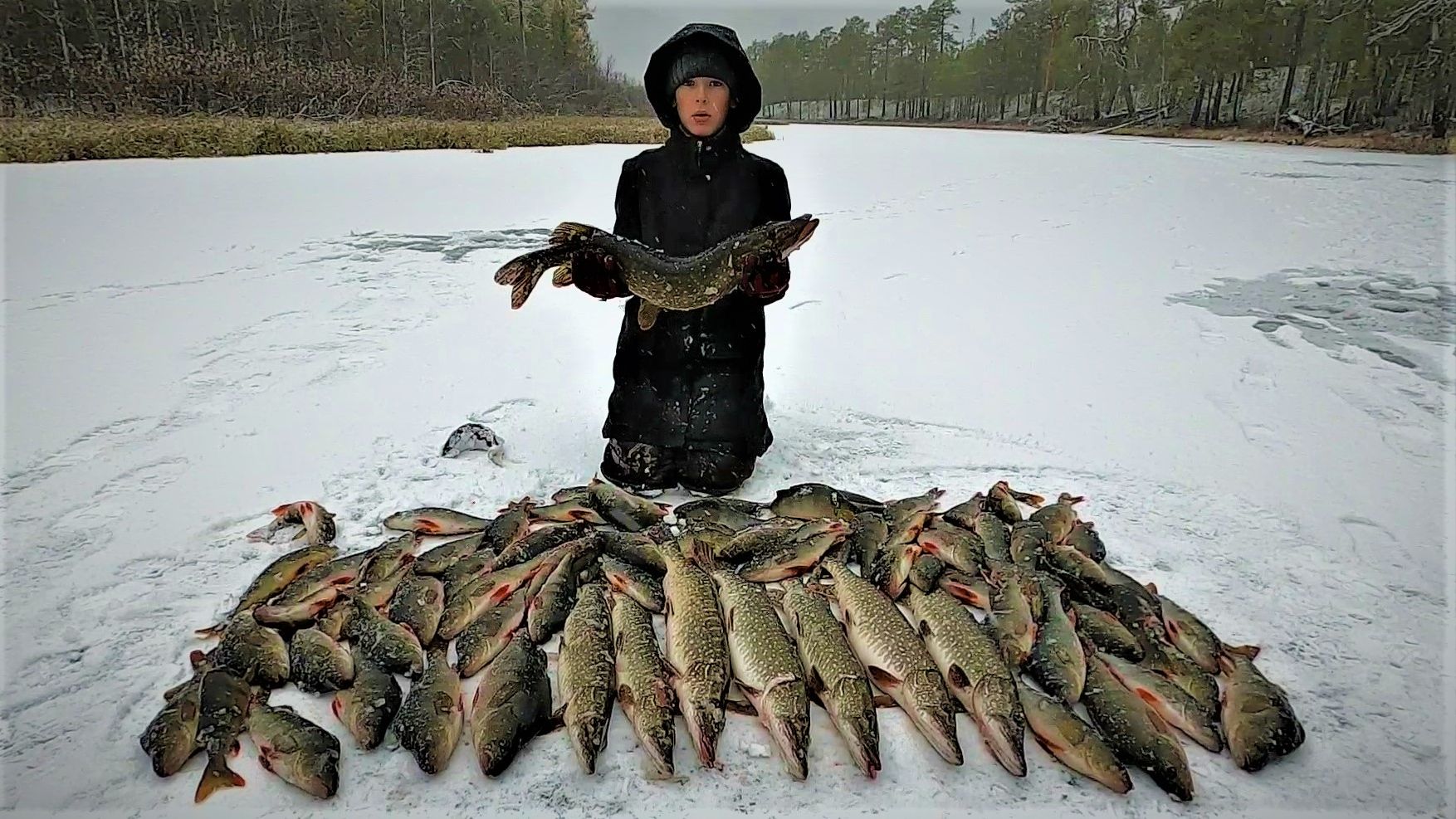 ЧУДНАЯ РЫБАЛКА С СЫНОМ, ЛЁД УЖЕ НЕ ПЕРВЫЙ НО ВСЁ ЕЩЁ ЩЕДРЫЙ НА КЛЁВ!ЖЕРЛИЦЫ СКУЧАТЬ НЕ ДАВАЛИ! смотреть онлайн