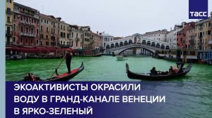 Экоактивисты с участием Тунберг окрасили воду в Гранд-канале Венеции