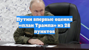 Путин впервые оценил «план Трампа» из 28 пунктов
