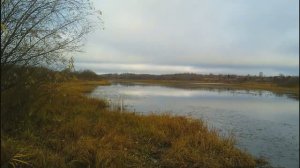 Такой ещё не видел серебряной
