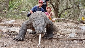 Путешествие по Индонезии (Ява, Бали, Комодо, Гили, Флорес, Вулканы Бромо и Иджен, озера Келимуту 4К