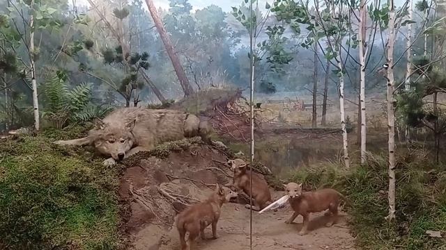 🏰Рязанский историко - архитектурный музей - заповедник🏰Что посетить в Рязани?🏰 смотреть онлайн