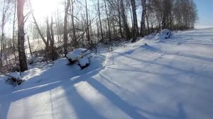 трудовая охота на зайца