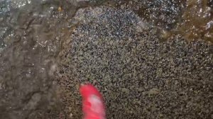 Д. Хлюпино. Донный фильтр из известковый камней , мутная вода. podkapaev.ru