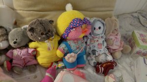 ДЕНЬ С БАСИКАМИ