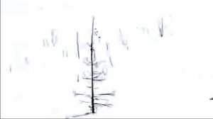 Миграция северных оленей на Камчатке