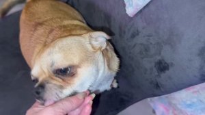 Доброго всем вечера и самой спокойной ночи.