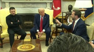 Axios: Зеленский обсудит с Вэнсом мирный план Трампа 21 ноября