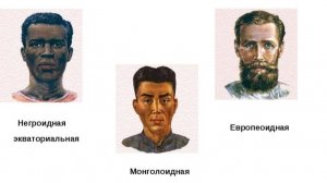 Очищение монголоидной расы. 13.11.25.