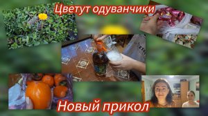 Семья из Мариуполя. Пишу сочинение. #мариуполь