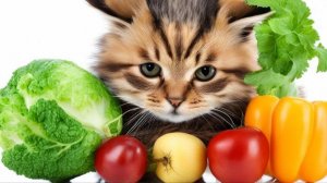 Токсоплазмоз при беременности