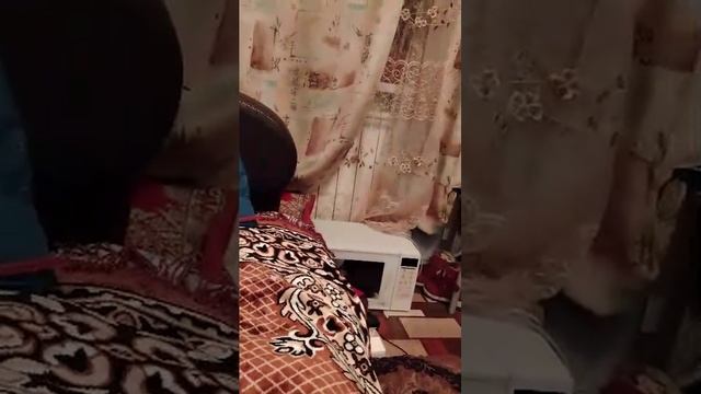 эксперты дебилов😎