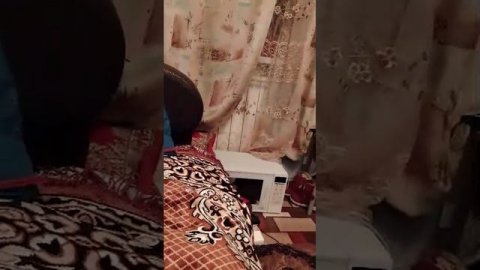 эксперты дебилов😎